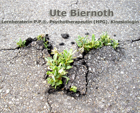 Ute Biernoth, Lernberaterin P.P., Psychotherapeutin (HPG), Kinesiologin